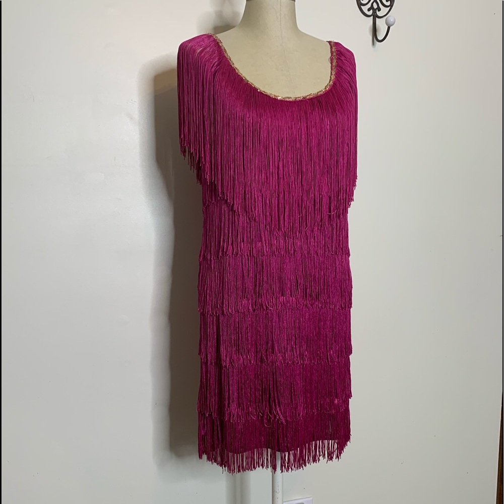 Fringed Hot Pink Flapper Costume Dress Size Small